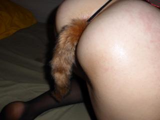 My foxy lady wants to play... 7 of 7