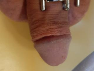 Hubby in Chastity 2 of 8