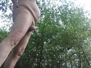 Last naked walk in forest