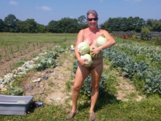 Picking Cabbage 17 of 18