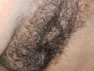 Extremenly Hairy Cunt 2