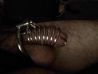 Caged cock
