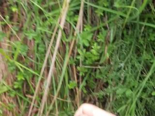 Hardxore in the nature