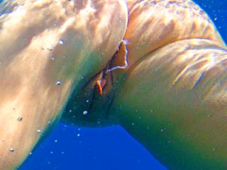 Diving
