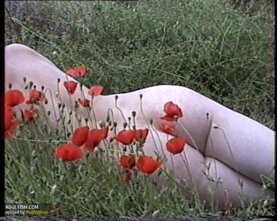 Image 7 of 7
