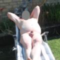 some random photos