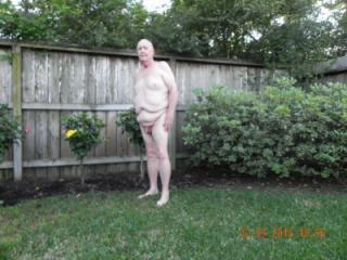 22 Mar 2017 Evening Nude in the backyard (3rd Album) 3 of 11