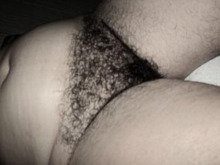my hairy wife 4 of 8