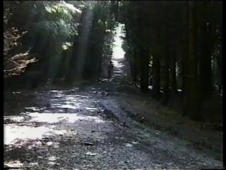 BluttBoy naked in the forest.