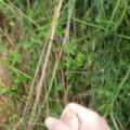 Hardxore in the nature