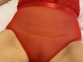 Red Teddy 5 of 12