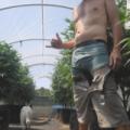 Naked garden time