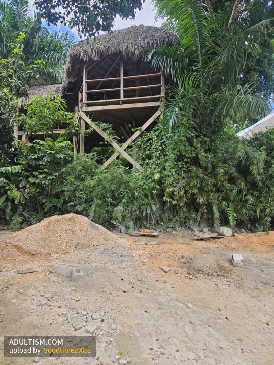 Image 6 of 6