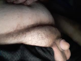 Hairy bush 2 of 4