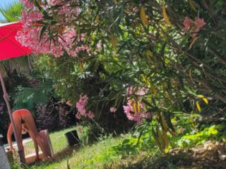 Naked in my garden to excite my neighbors 12 of 14