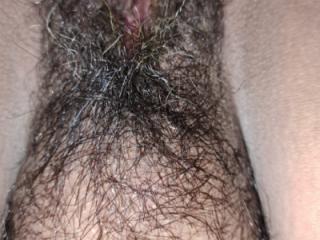 HAIRY Close up Angle 2023 4 of 5