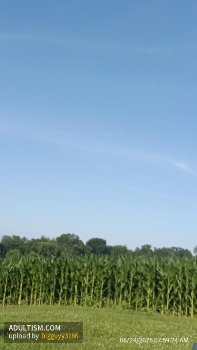 Image 1 of 9