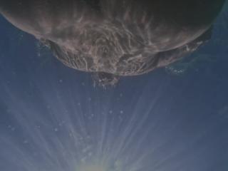 Playing in the pool