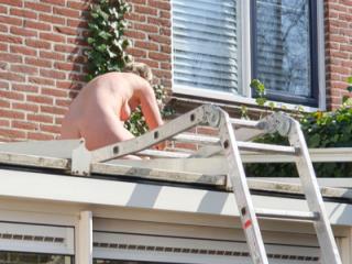 Garden mature 1 of 16