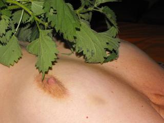 Punished with nettles 13 of 14