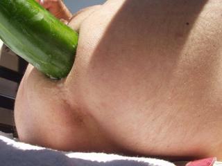 big cucumber