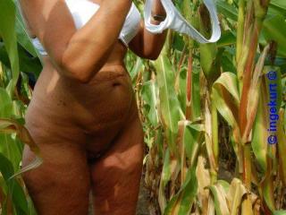 In the corn field 5 - Im Maisfeld 5 7 of 20