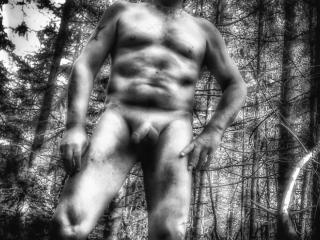Undressing in the forest 14 of 16