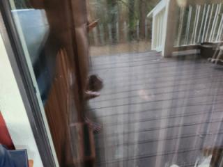 Back Porch 4 of 5
