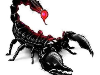 Pics of random things people 3 of 4