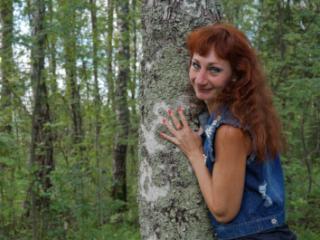 In birch Forest