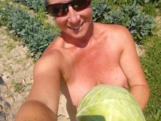 Picking Cabbage 4 of 18