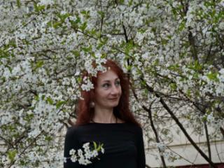In white cherry-flowers