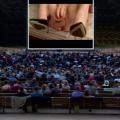 porn movie night