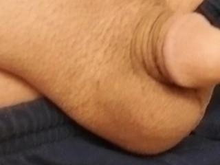My tiny assets.