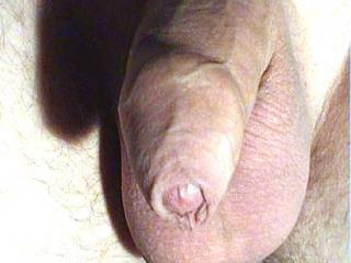 My cock for you...