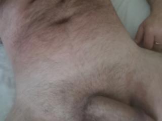 Morning cock 4 of 15