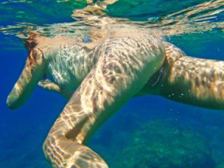 Diving 9 of 9