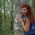 In birch Forest