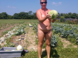 Picking Cabbage 8 of 18