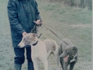 those were the days x 5 of 8
