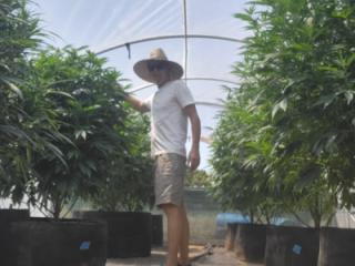 Naked garden time 2 of 8