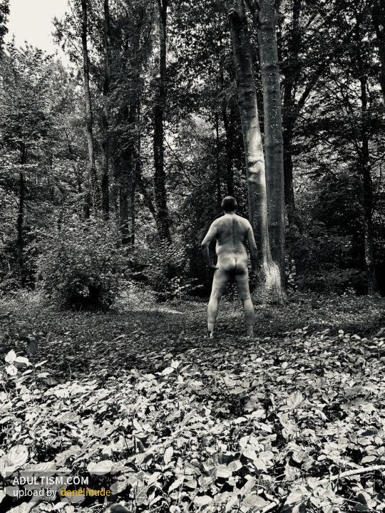 Image 1 of 13