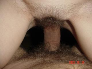 Hairy amateur wife 10 of 14