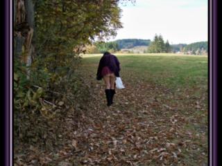 Picking chestnuts 2 of 19