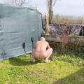 I love being naked in my garden