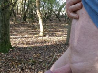 Alone in the woods