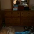 Mirror doggy