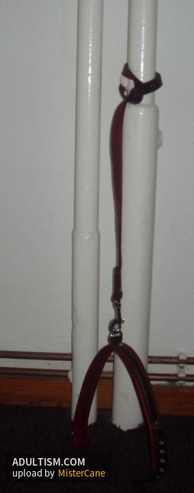 Image 4 of 20