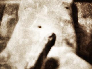 Some new ones 1 of 5