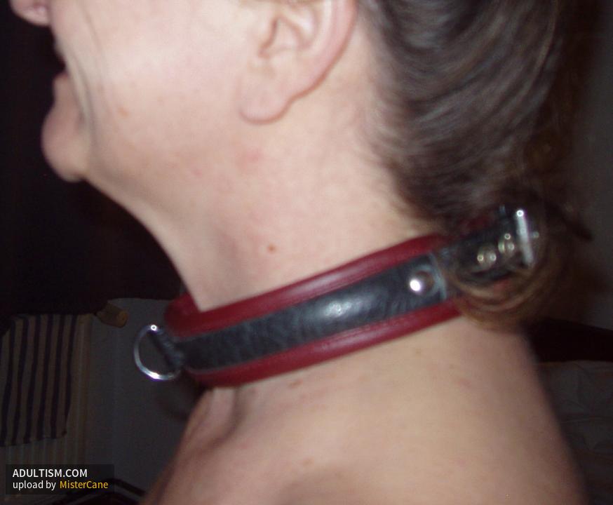 Image 2 of 17